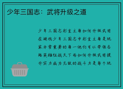 少年三国志：武将升级之道